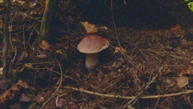 Ljubljanska cesta 45, 1241 Kamnik