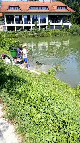 Nova rajngla - Braslovče