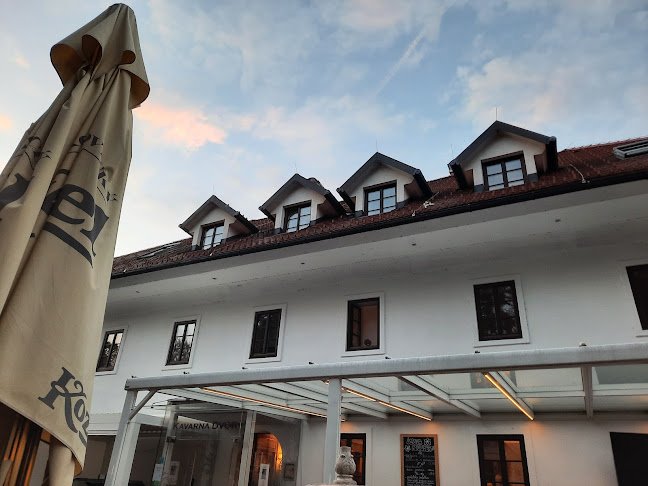 Dvor Tacen Kavarna - Gastronomija in gostinstvo
