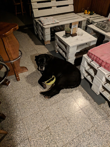 Bar na vasi, Anita Ključevšek, s.p