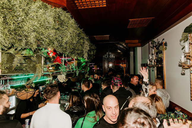 Bar DŽUNGLA - Gastronomija in gostinstvo