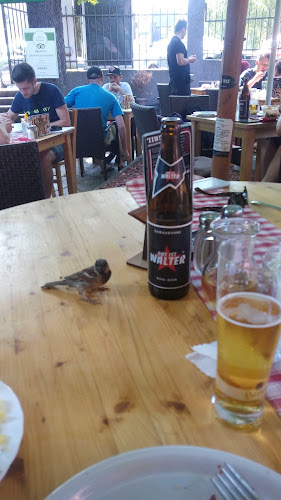 Comentarii opinii despre Das ist Walter - Ljubljana Šmartinska