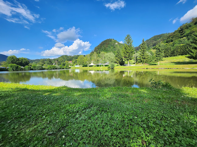 Opinii despre Gostilna Ribnik în Zagorje ob Savi - Gastronomija in gostinstvo