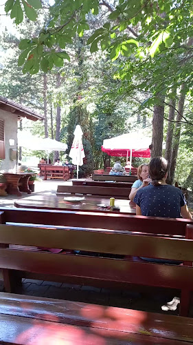 Comentarii opinii despre Restaurant pri izviru Hublja