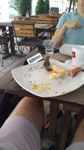 Cocoa, podjetje za notranjo in zunanjo trgovino, d.o.o.