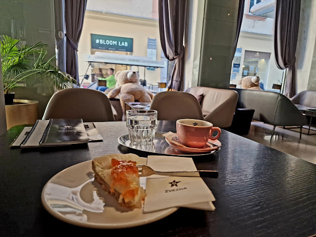 Kavarna Zvezda, Hotel Slon - Gastronomija in gostinstvo