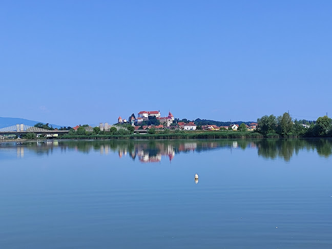 Ptujsko morje - Ptuj