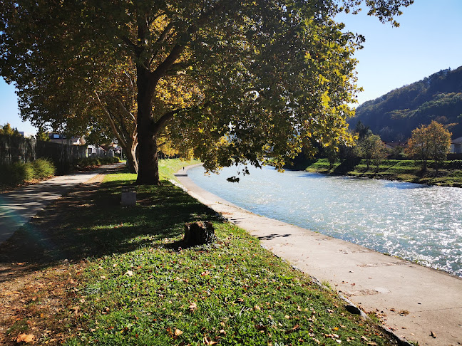 Kajak kanu klub nivo Celje - Pizzeria Špica - Gastronomija in gostinstvo