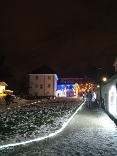 Comentarii opinii despre Kavarna Khislstein 12.56