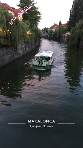 Dvorni Bar - Gastronomija in gostinstvo