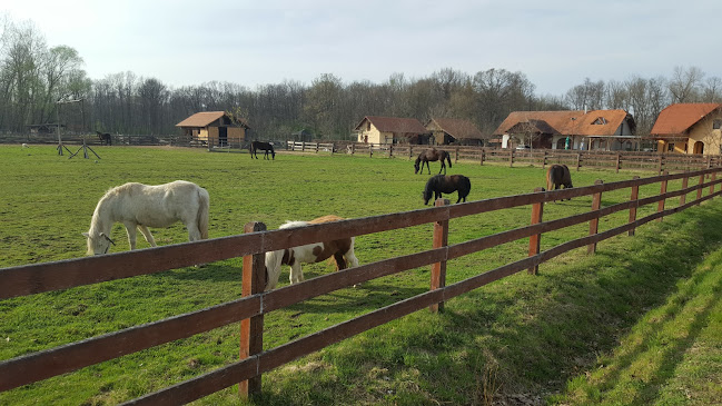 Picerija Na Dezeli Brigita Krenos s.p. - Velika Polana