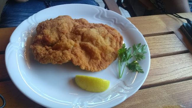 Opinii despre Gostilna pri Čibru, Matjaž Albič s.p. în Laze v Tuhinju - Gastronomija in gostinstvo