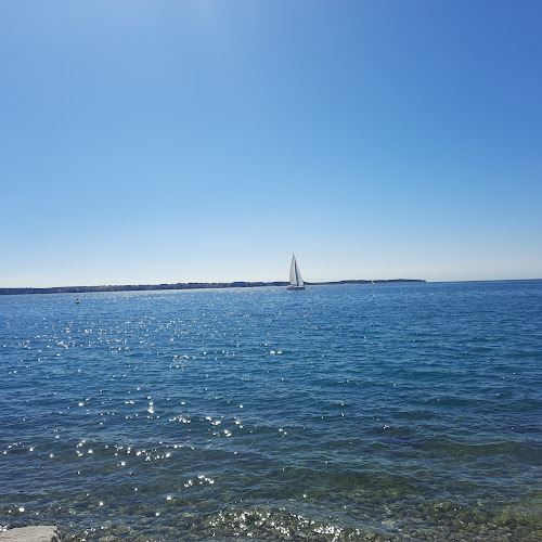 Comentarii opinii despre Morski val