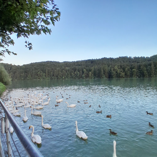 Comentarii opinii despre Gostišče Jezero