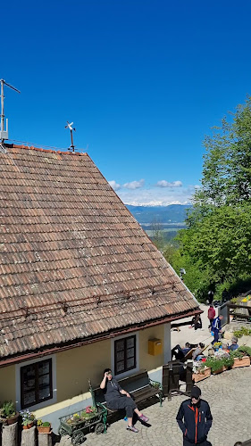 Opinii despre Gostilna Ledinek în Ljubljana - Šmartno - Gastronomija in gostinstvo