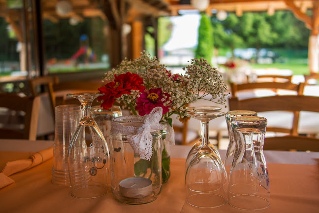 Comentarii opinii despre Piknik Ribno