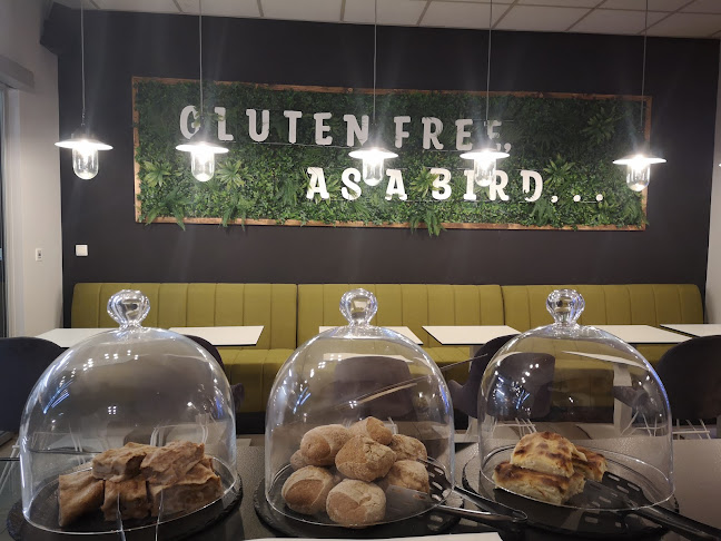 Comentarii opinii despre Cojzla