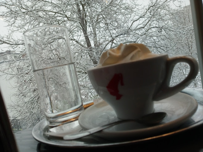 Kavarna nova Damjan Vodošek s.p. - Gastronomija in gostinstvo