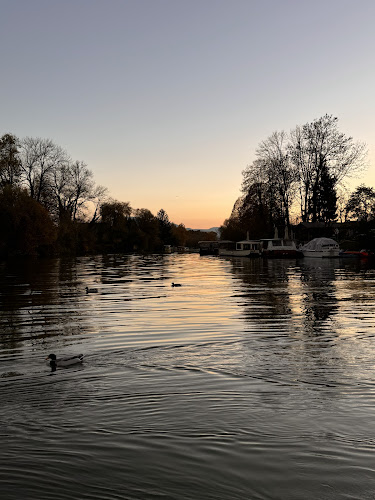 Opinii despre Špica Caffe în Ljubljana - Gastronomija in gostinstvo