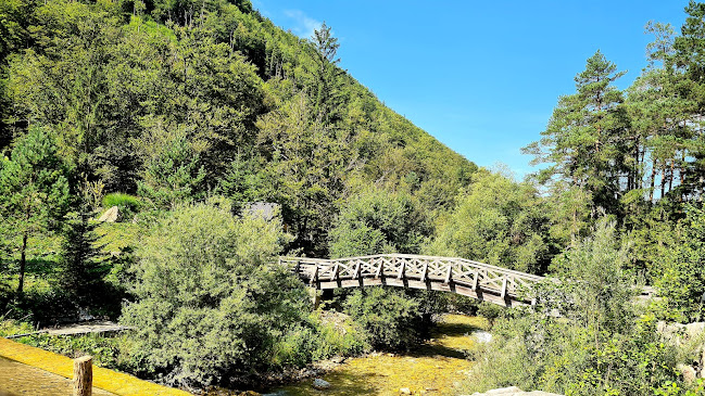 Comentarii opinii despre Zavrh