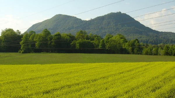 Šmarna Gora 4, 1211 Ljubljana - Šmartno