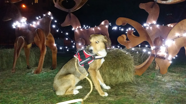 Paviljon Park - Trbovlje