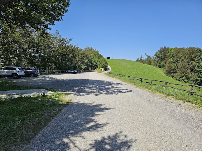 Lisca - Gastronomija in gostinstvo