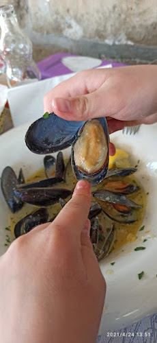 Comentarii opinii despre Ribic Baja