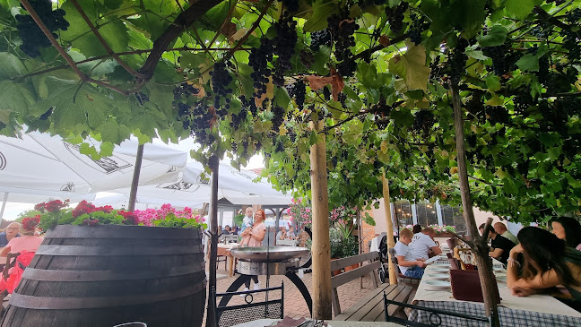 Dobenski Hram, meat & wine - Mengeš