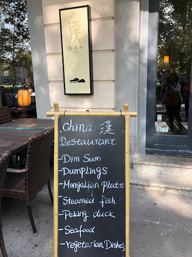 Opinii despre Asian restaurant Han în Ljubljana - Gastronomija in gostinstvo