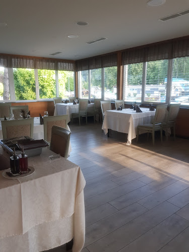 Comentarii opinii despre Lisjak Celjski