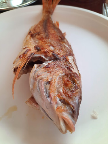 Ladja Podlanica Piran - Piran