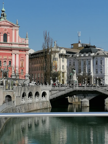 Comentarii opinii despre Laibach