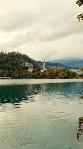 Restavracija Vila Ajda Dax & apartma