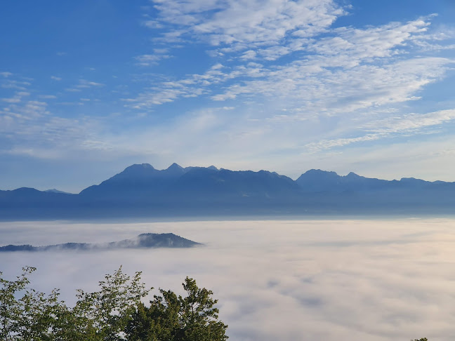 Opinii despre Bar "Škutinov Hram" Šušteršič Umek Alenčica s.p. în Ljubljana - Gastronomija in gostinstvo
