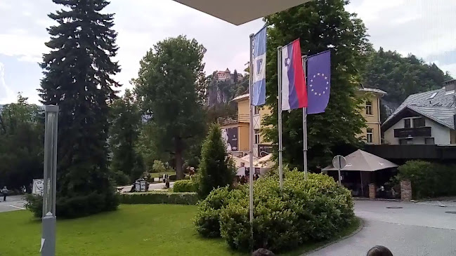 Cesta svobode 9, 4260 Bled