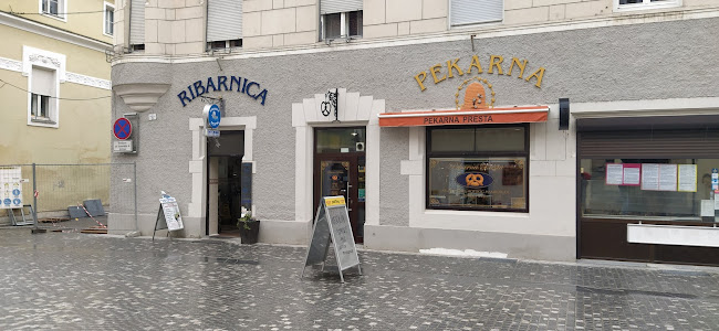 Miklošičeva ulica 3, 2250 Ptuj