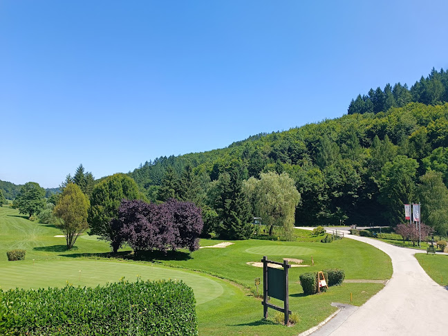 Restavracija Amon - Gastronomija in gostinstvo