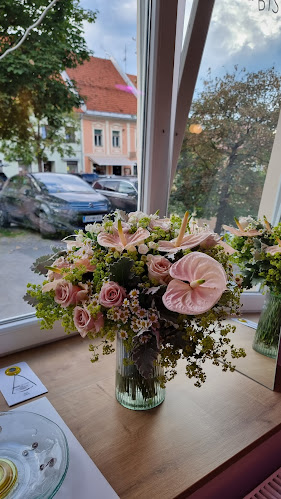 Glavni trg 19, 2380 Slovenj Gradec