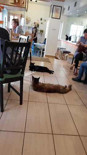 Opinii despre Cat Caffe Ljubljana în Ljubljana - Gastronomija in gostinstvo