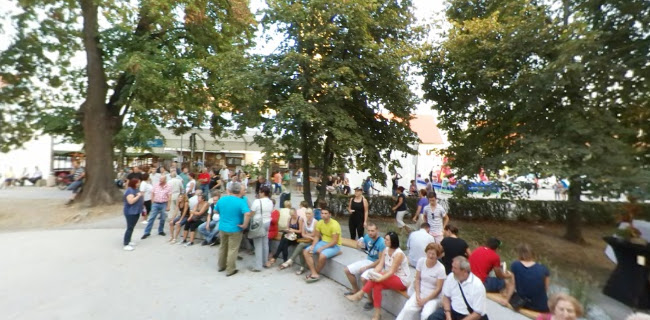 Opinii despre Fontana piva Zeleno zlato în Žalec - Gastronomija in gostinstvo