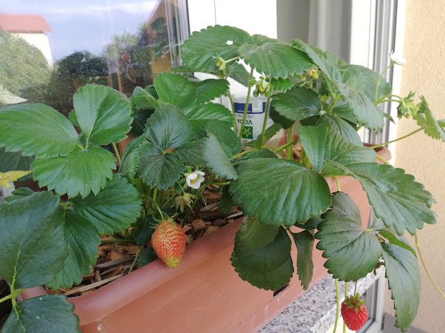 Dobriša vas 3 B, 3301 Petrovče