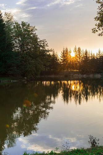 Rajski otok - Šentjur
