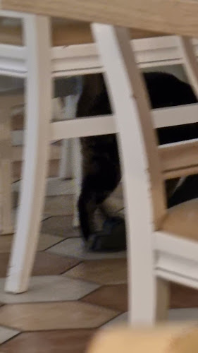 Opinii despre Gostilna Spark Sežana în Sežana - Gastronomija in gostinstvo