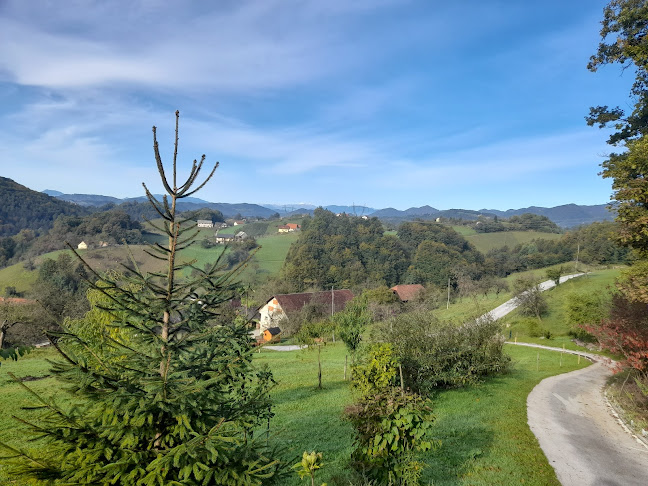 Sekopt d.o.o., gradbeništvo in druge poslovne storitve - poslovna enota Caffe Galeria