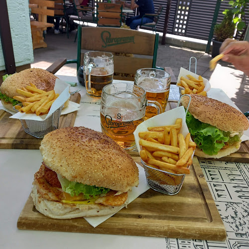 Opinii despre Okrepčevalnica TRTA GRIL, Tamara Kuronja s.p. în Murska Sobota - Gastronomija in gostinstvo