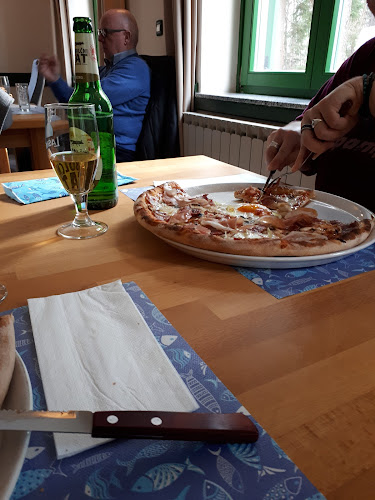 Comentarii opinii despre Casa Monte