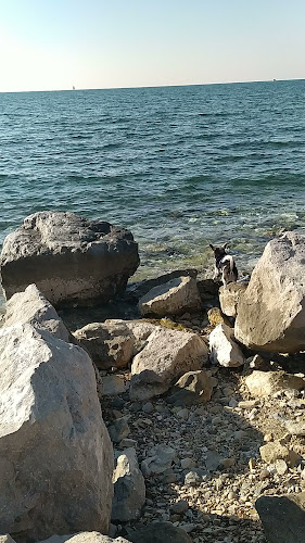 Gostišče Ribič d.o.o. Portorož - Portorož