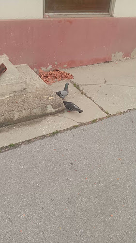 Pekarna - Xhevat Dervishaj s.p.