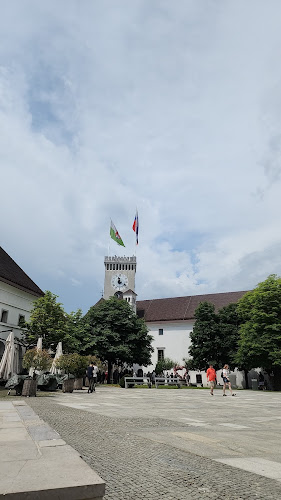 Opinii despre Grajska vinoteka în Ljubljana - Gastronomija in gostinstvo